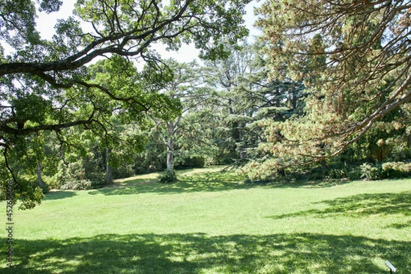 Fototapeta Алупка, парк