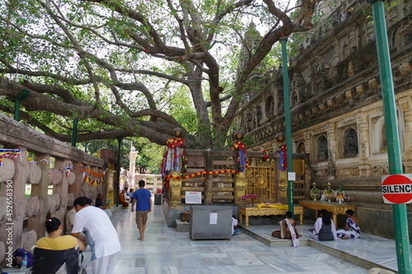 Fototapeta 仏教八大聖地　世界遺産ブッダガヤの大菩提寺