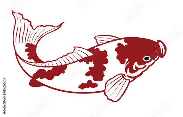 Fototapeta carp fish