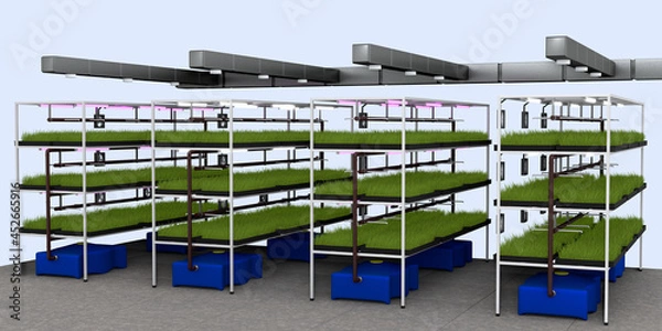 Fototapeta Automated modern vertical farm with hydroponics system. Growing organic plants and vegetables. 3d illustration