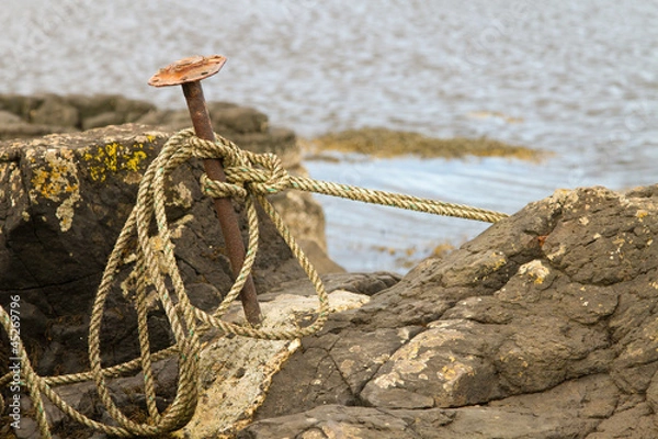 Obraz Island Ties