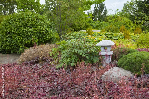 Fototapeta exotic garden