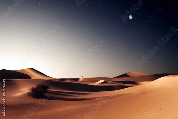 Obraz view of nice sands dunes at Sands Dunes National Park