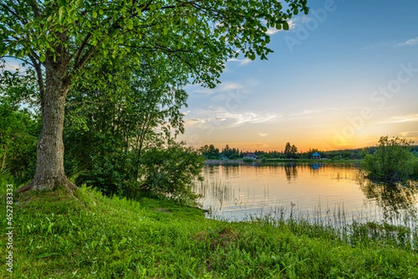 Obraz Evening landscape with a tree, sunset over the river