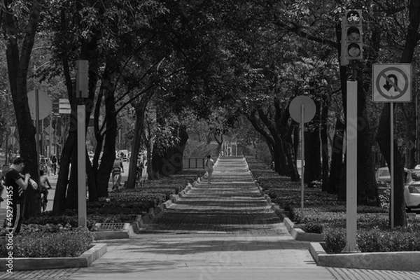 Obraz pista para correr