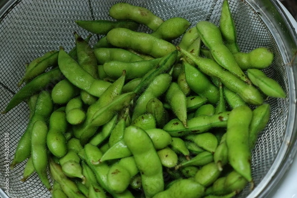 Obraz 枝豆(えだまめ)のアップ