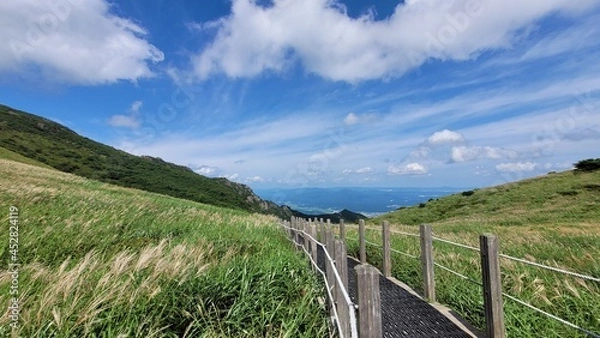 Fototapeta Reeds and sky at Sinbulsan Mountain in Ulju-gu, Korea