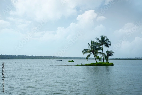 Obraz Coconut palm trees standing on the small island in the backwaters Kerala India