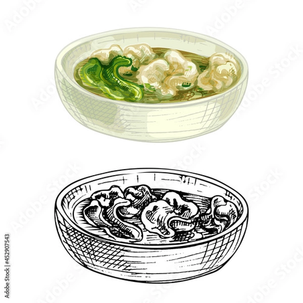 Obraz Wonton soup on plate. Vintage vector hatching color hand drawn illustration isolated