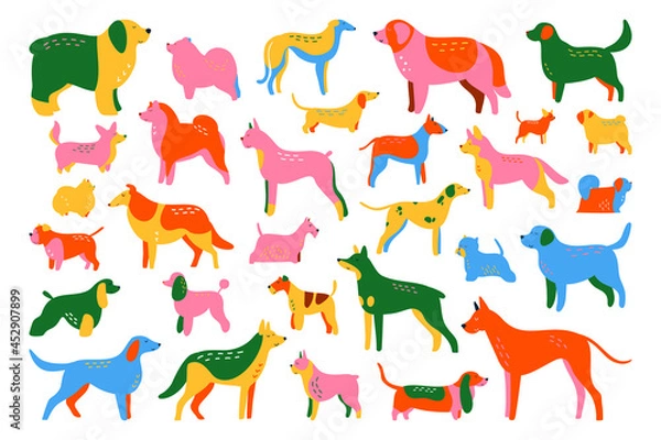 Obraz Dog breeds set, 30 hand drawn colouful vector illustrations