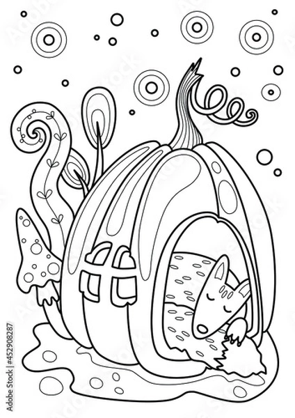 Fototapeta Cartoon page for coloring book with fox and pumpkin, hand-drawn vector illustration.