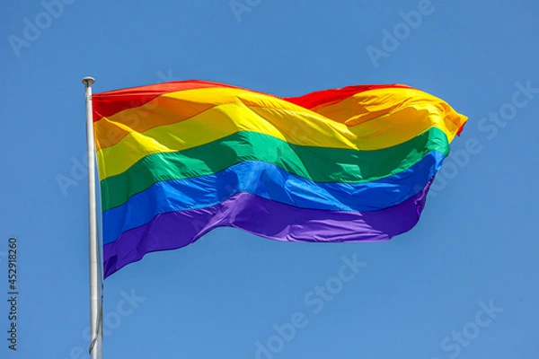 Fototapeta Rainbow Flag na wietrze 04