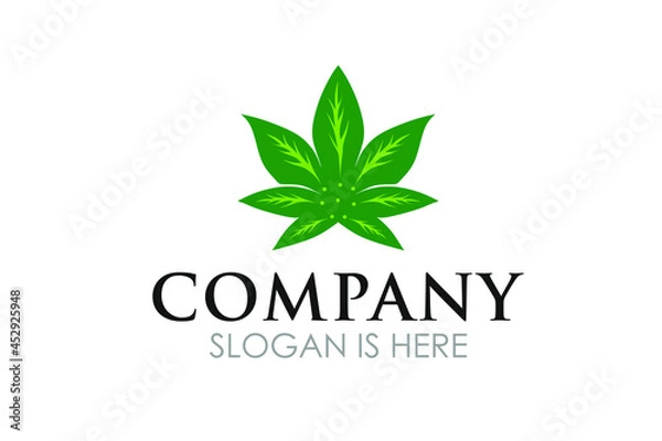 Fototapeta abstract green logo