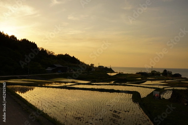 Obraz 夕日の棚田