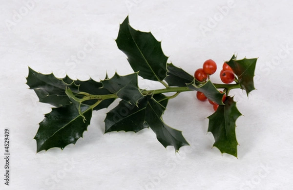 Obraz Weihnachtsdekoration