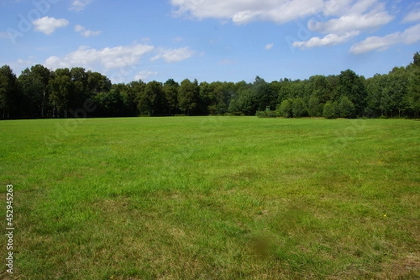 Obraz Große grüne Wiese am Waldsaum im Horizont