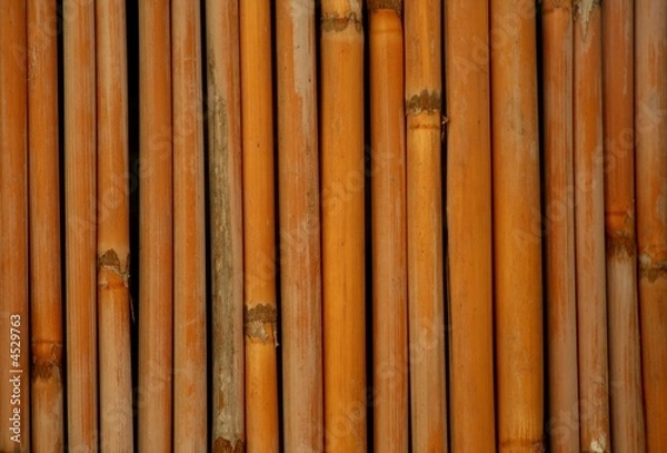 Obraz Hintergrund Bambus