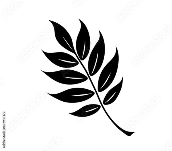 Fototapeta Vector illustration. The image is a silhouette of a leaf. A black leaf of a plant on a white background. An element for decoration, textiles, background, printing.