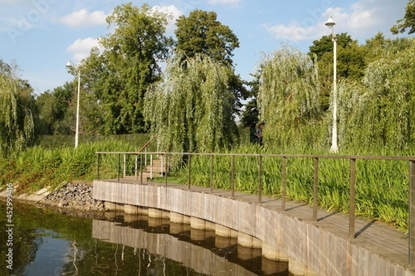 Obraz garden