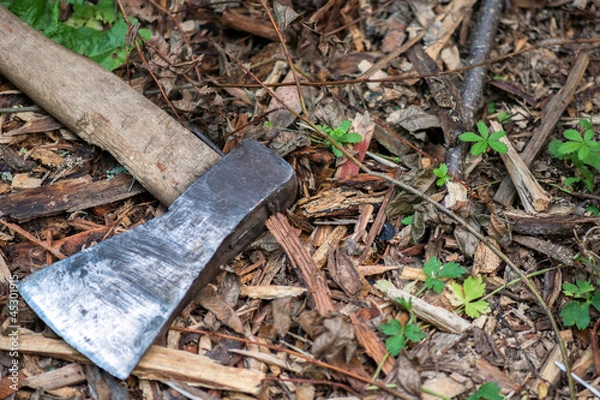 Obraz Axe in the woods