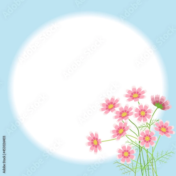 Fototapeta 秋桜のフレーム素材