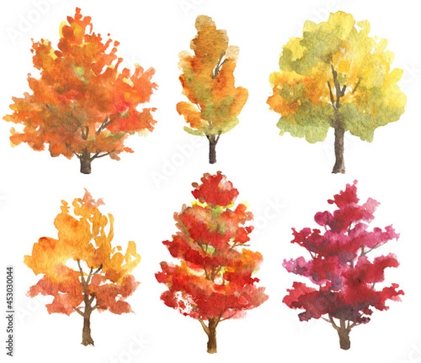 Fototapeta Set of watercolor autumn trees isolated on white background. Hand drawn illustration