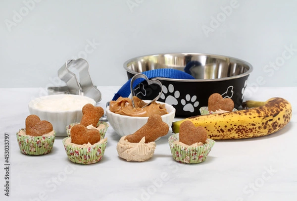 Obraz Dog biscuit ice cream cookies with ingredients and dog bowl.  Copy space.