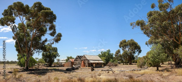 Fototapeta Panoramic view of a broken decaying old timber farmers workers home surrrounded by native trees on a dry barron agricultural property, rural Victoria, Australia