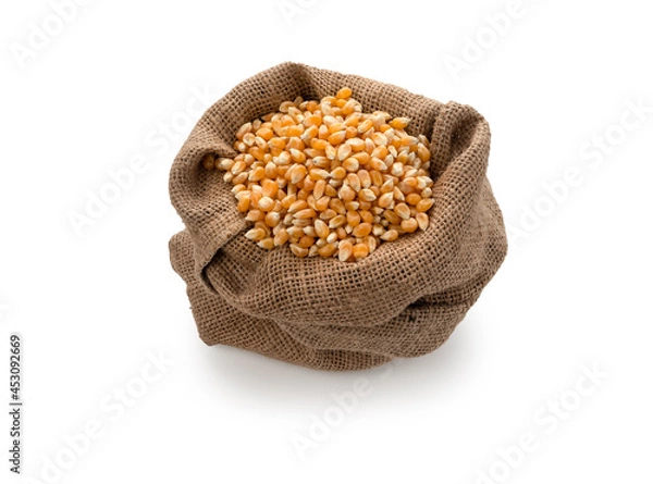 Fototapeta Corn seed in sack on isolated white background