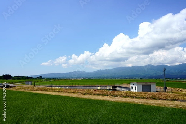 Obraz 田んぼの広がる平野