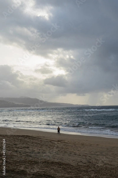 Obraz Alone in the beach