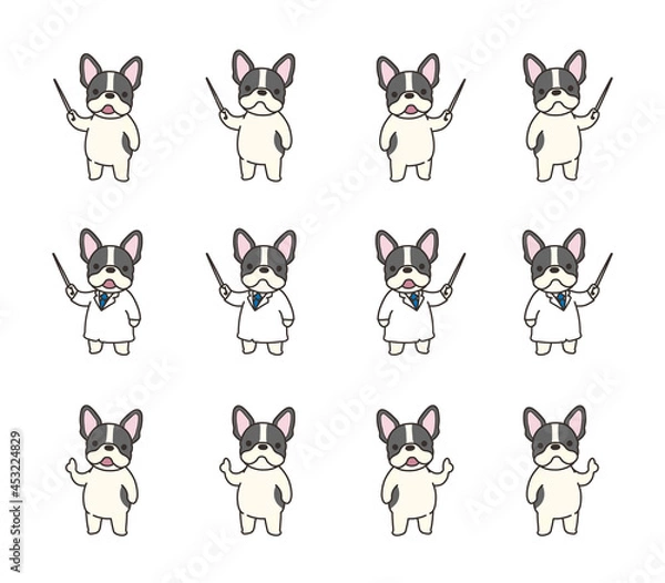 Obraz 指さしをするフレンチブルドッグ。ベクターセット。白衣。指揮棒。