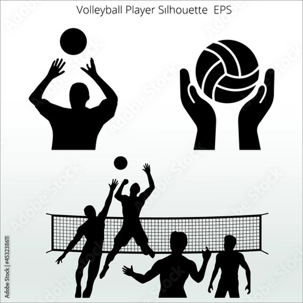 Fototapeta set of american alligator Silhouettes, line isolated or logo isolated sign symbol vector, outline and stroke style Collection of high-quality vector illustration,