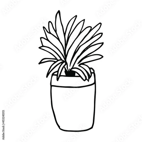 Obraz Houseplant in the pot in doodle style. Hand drawn potted plant for home. Hand drawn simple black outline vector illustration in cartoon doodle style, isolated. Home gardening
