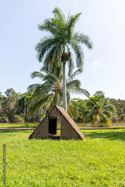 Fototapeta Indian village Guam. Palm tree and palm leaf hut