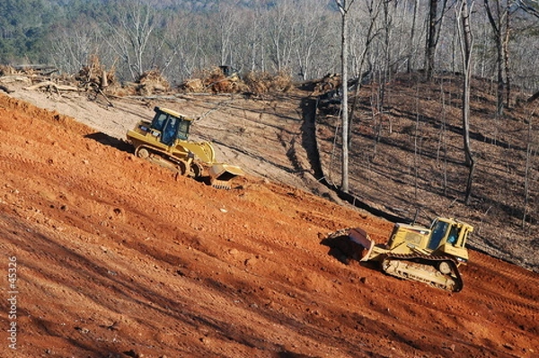 Obraz clearing land