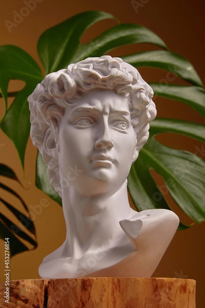 Fototapeta White plaster bust sculpture portrait of a young man. Gypsum statue of David's head. Michelangelo's David statue plaster copy. Ancient greek sculpture, statue of hero