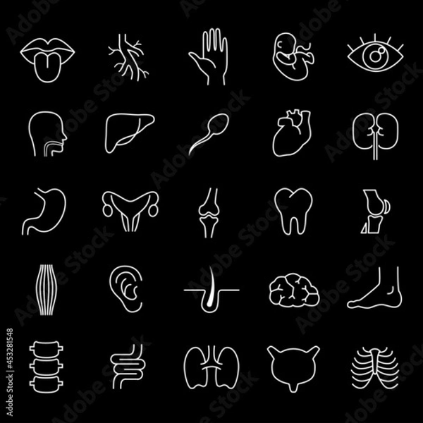 Obraz Human body parts, organs - vector linear icon set.