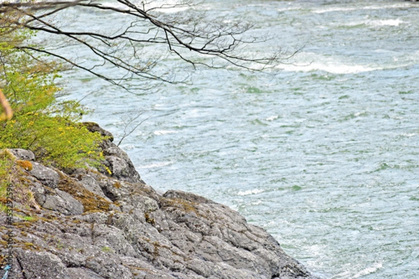 Fototapeta 【群馬県利根郡】諏訪峡 利根川