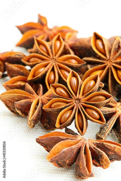 Obraz star anise