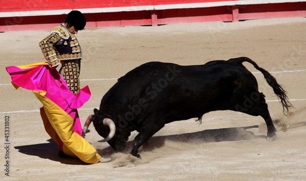 Fototapeta solo de Jose Tomas, Nimes 2012