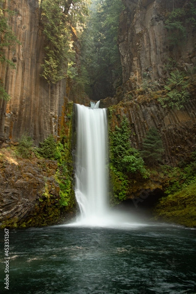 Fototapeta View of a cascading waterfall in Oregon. Toketee Falls is surrounded by green moss, trees, and basalt columns. The waterfall appears to be in a jungle.