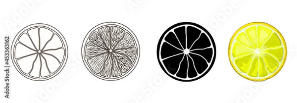 Fototapeta Set of four round lemon slices - outline style, doodle, cartoon and black silhouette of lemon. Stock vector illustration isolated on a white background.