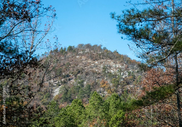 Fototapeta 20161120-27