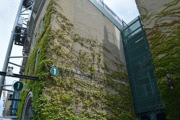 Fototapeta 甲子園球場