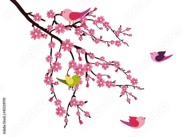 Fototapeta Blühender Zweig