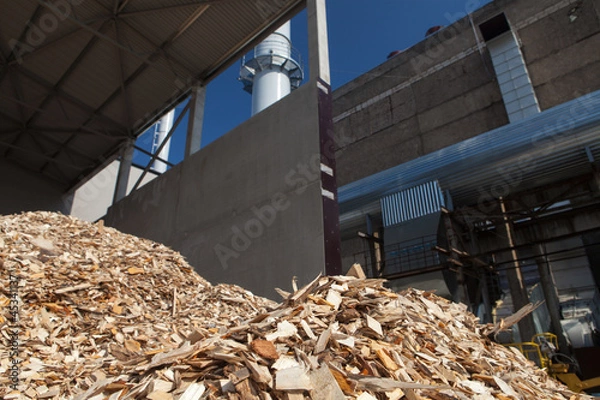 Obraz Wood chips