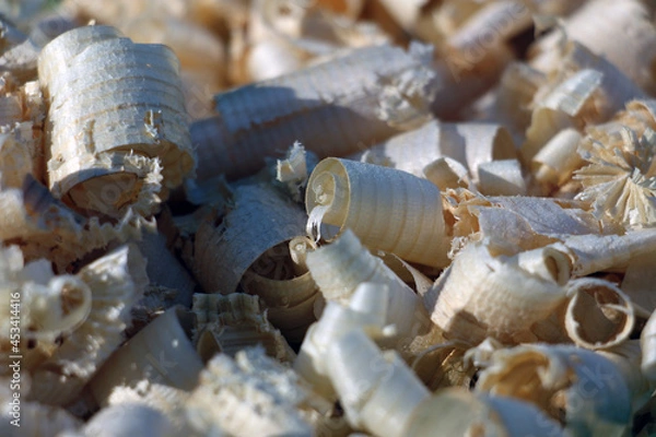 Fototapeta Background - Wood shavings made by a plane.