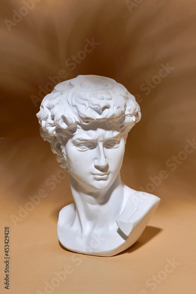 Fototapeta White plaster bust sculpture portrait of a young man. Gypsum statue of David's head. Michelangelo's David statue plaster copy. Ancient greek sculpture, statue of hero