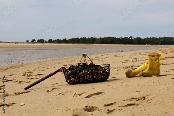 Obraz pêcheur à pied